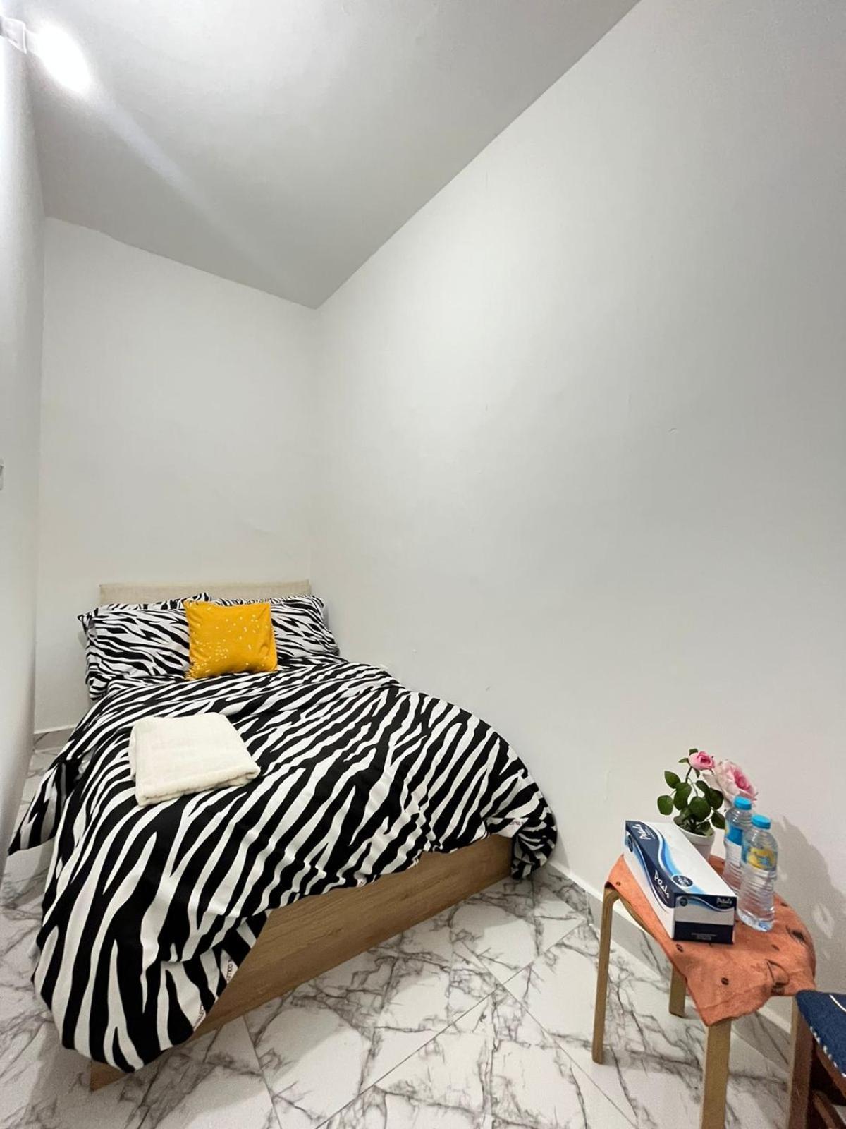 Cozy Abou Dabi